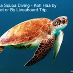 Koh Haa Scuba Diving - Koh Haa by Day Boat or By Liveaboard Trip small
