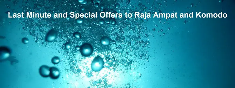 Last minute and special offers to Raja Ampat and Komodo