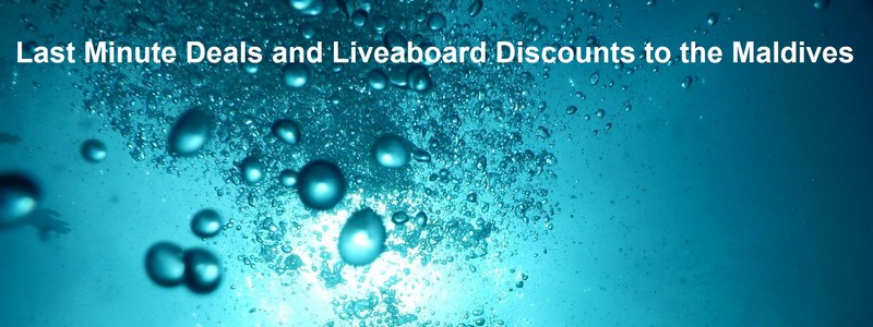 Last minute deals and liveaboard discounts to the Maldives