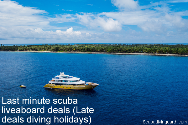 Last minute scuba liveaboard deals - Late deals diving holidays