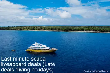 Last minute scuba liveaboard deals (Late deals diving holidays)