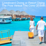 Liveaboard Diving or Resort Diving - The Pros Versus The Cons Of Both small
