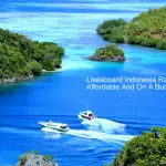 9 Affordable Indonesian Raja Ampat liveaboards (Budget Raja Ampat Diving)