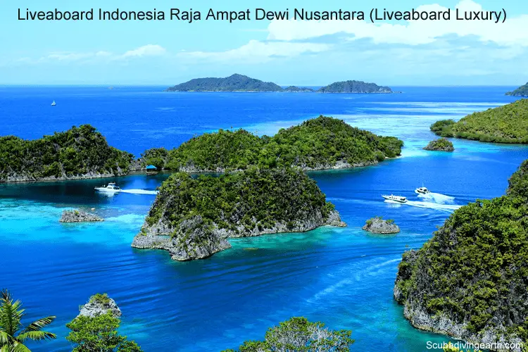 Liveaboard Indonesia Raja Ampat Dewi Nusantara Liveaboard review Luxury scuba diving