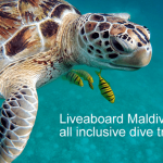 Liveaboard Maldives 3 Days All Inclusive (Maldives Liveaboard Diving Trips)