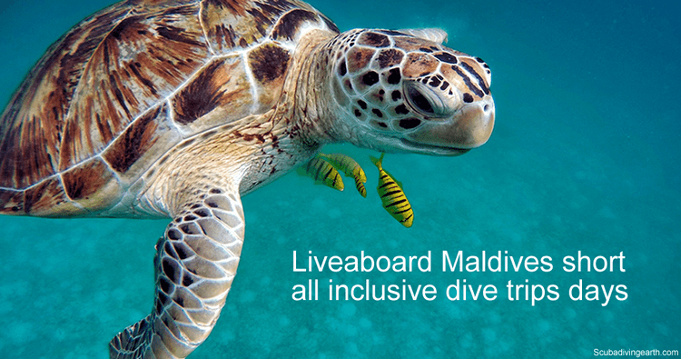 Liveaboard Maldives short all inclusive dive trips days - Liveaboard Maldives 3 days and 5 days
