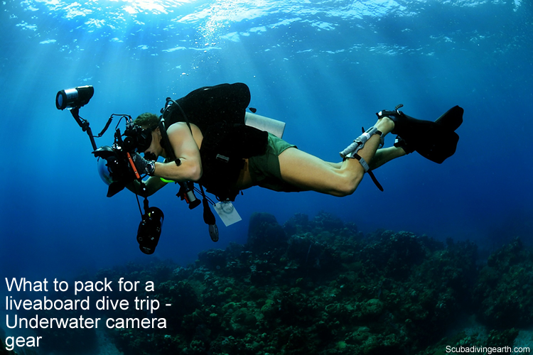 Liveaboard essentials - Underwater camera gear
