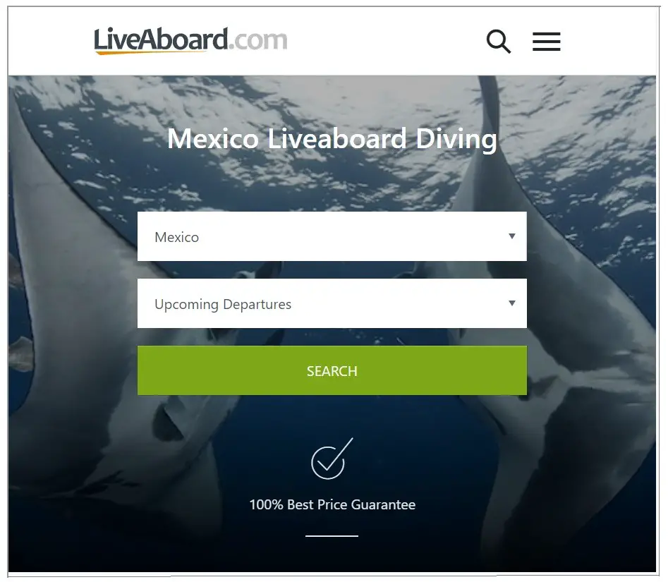 Liveaboard.com search Mexico great white sharks larger
