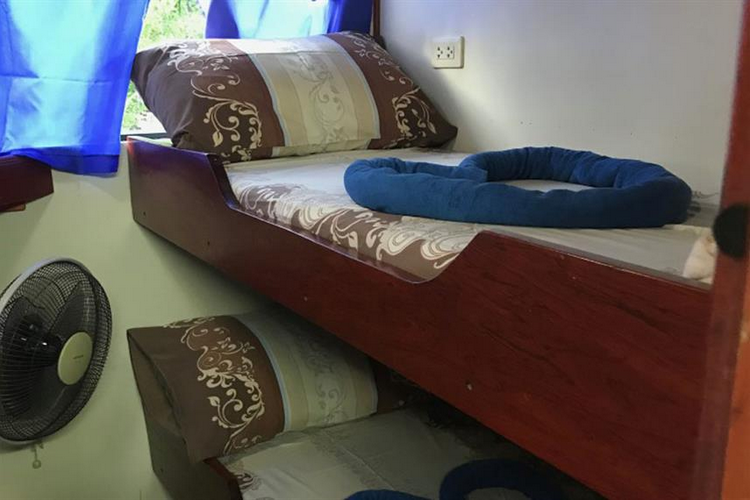 MV Miss Moon Liveaboard Review inside the boat - standard bunk