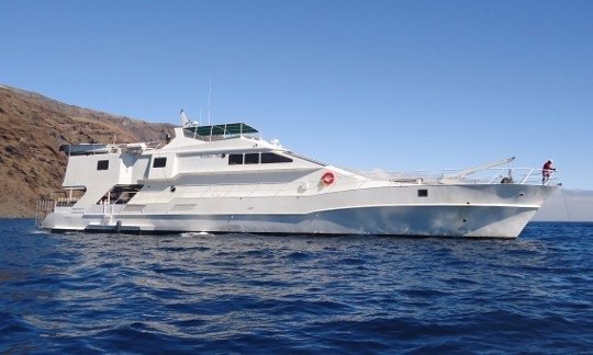 MV Southern Sport Socorro Island liveaboard dive boat
