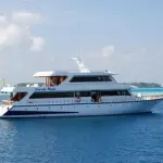 Maldives Conte Max liveaboard review