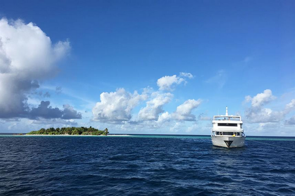 Maldives Princess Dhonkamana scuba diving review