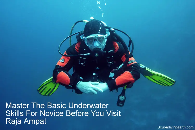 Master The Basic Underwater Skills For Novice Before You Visit Raja Ampat