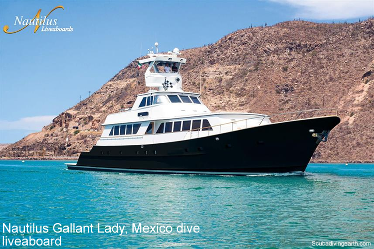 Nautilus Gallant Lady, Mexico dive liveaboard