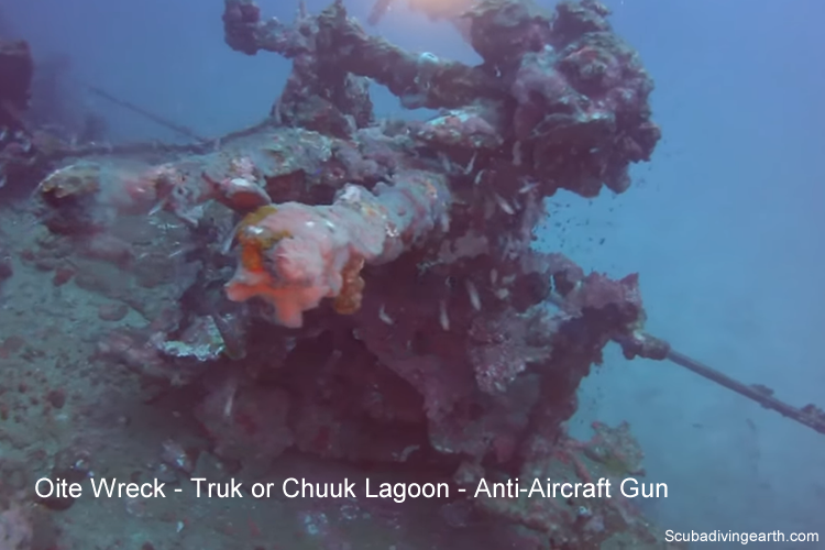 Oite Wreck - Truk or Chuuk Lagoon - Anti-Aircraft Gun larger
