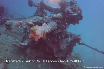 Scuba dive The Kamikaze Class Destroyer Oite Wreck (Top Truk Lagoon Wrecks)