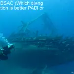 PADI vs BSAC - Which diving organisation is better PADI or BSAC