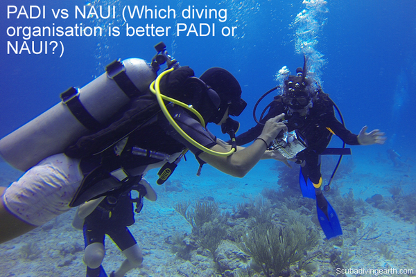 PADI vs NAUI - Which diving organisation is better PADI or NAUI large