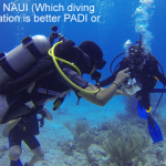 PADI vs NAUI (Which diving certification is better PADI or NAUI?)