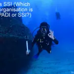 PADI vs SSI - Which diving organisation is better PADI or SSI