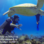 PADI vs SSI vs NAUI vs BSAC - Differences & is one certification better small