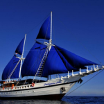 Philippine Siren - Philippines Liveaboards Diving Reviews small