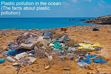 Plastic pollution in the ocean (The facts about plastic pollution)