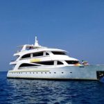 Princess Dhonkamana liveaboard - Best Maldives Liveaboards Compared Emperor Voyager vs Blue Force One vs Honors Legacy vs Princess Dhonkamana small