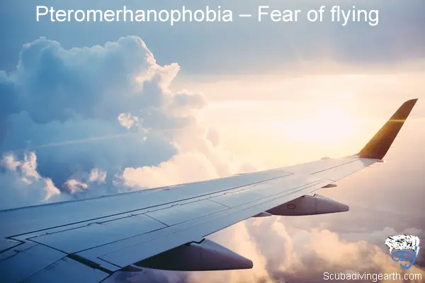 Pteromerhanophobia – Fear of flying