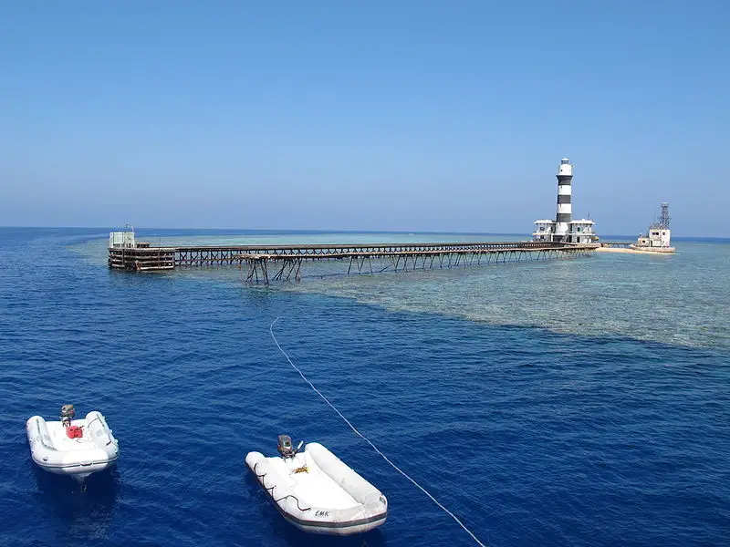 Red Sea Daedalus Reef Dive Site