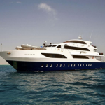 Red Sea MY Odyssey Liveaboard Review - Luxury Rating 48 small