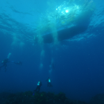 Scuba Diving Cost Per Dive