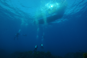 Scuba Diving Cost Per Dive
