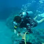 Scuba Diving Depths For Kids small