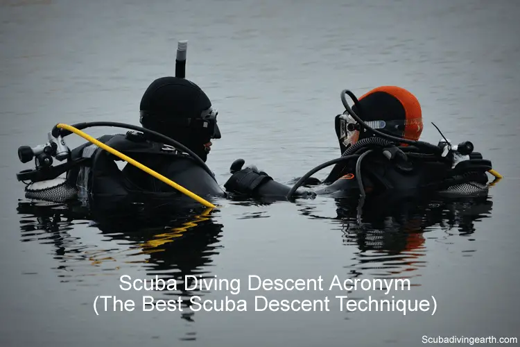 Scuba Diving Descent Acronym - The Best Scuba Descent Technique