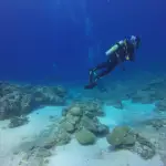 Scuba diver - Is Scuba Diving in Freshwater Different from Saltwater small