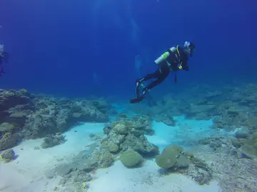 Is Scuba Diving in Freshwater Different from Saltwater