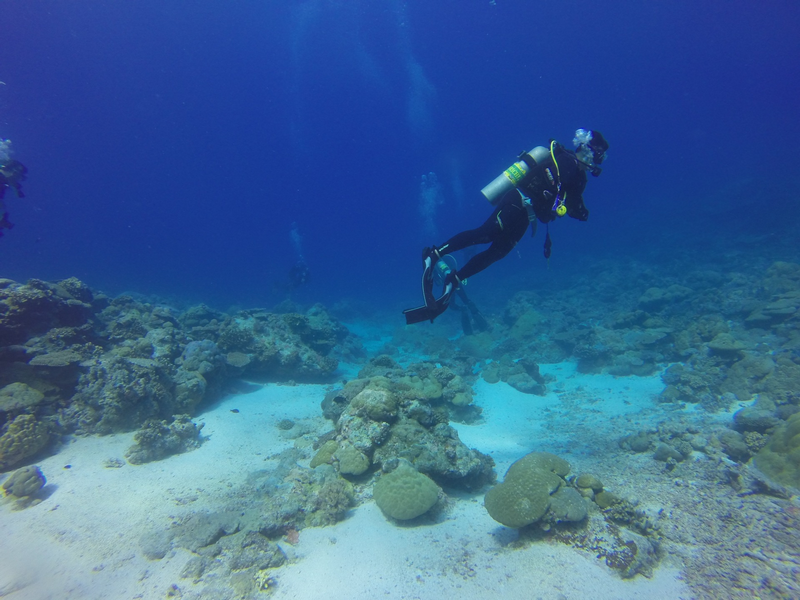 What Is The 120 Rule In Scuba Diving?