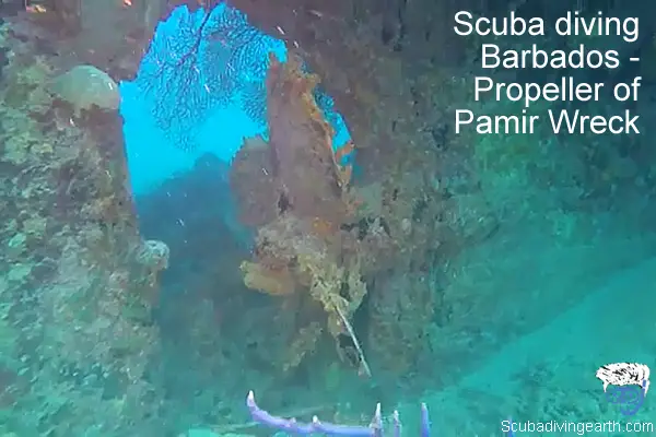 Scuba diving Barbados - Propeller of Pamir Wreck Barbados