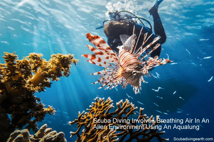 Scuba diving involves breathing air in an alien environment using an aqualung