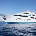 What Should I Bring To The Red Sea liveaboard?