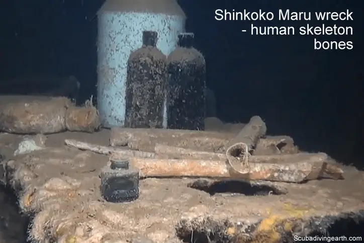 Shinkoku Maru wreck - human skeleton bones