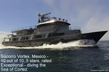 Socorro Vortex Liveaboard Yacht Review (The Best Socorro Vortex Reviews)