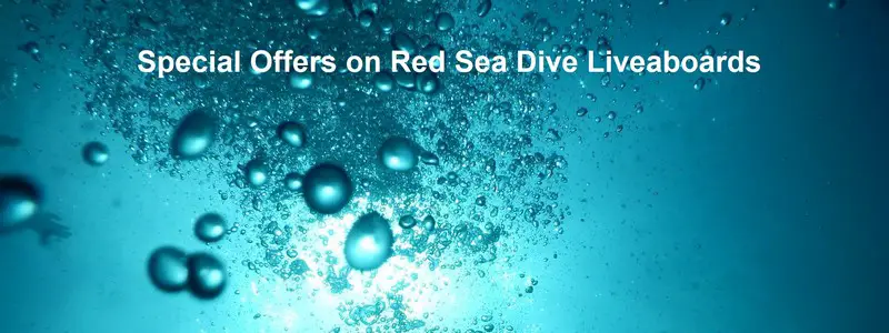 Special offers on Red Sea dive liveaboards