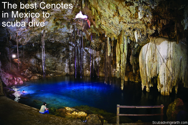 The best Cenotes in Mexico to scuba dive
