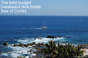 The best budget liveaboard dive boats Sea of Cortez