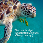 The 9 Best Budget Dive Liveaboards Maldives (Cheap Luxury!)