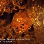 Truk Lagoon Human Remains - Human Skull Wedged Inside The Wreck small