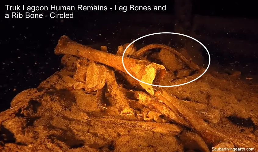 Truk Lagoon Human Remains - Leg Bones and a Rib Bone - Circled