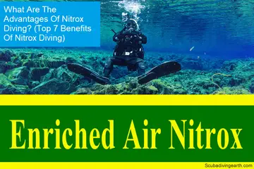 What Are The Advantages Of Nitrox Diving? (Top 7 Benefits Of Nitrox Diving)